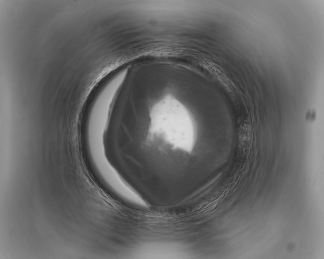 X0000094900727200712201134