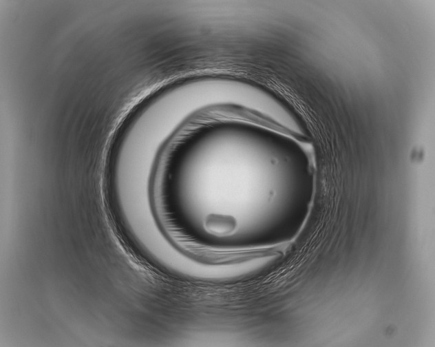 X0000094900728200712201134