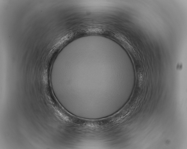 X0000094900729200712201134