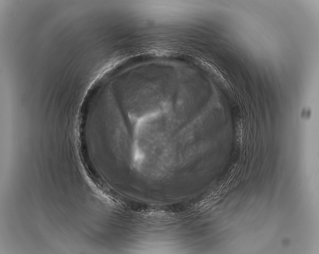 X0000094900730200712201134