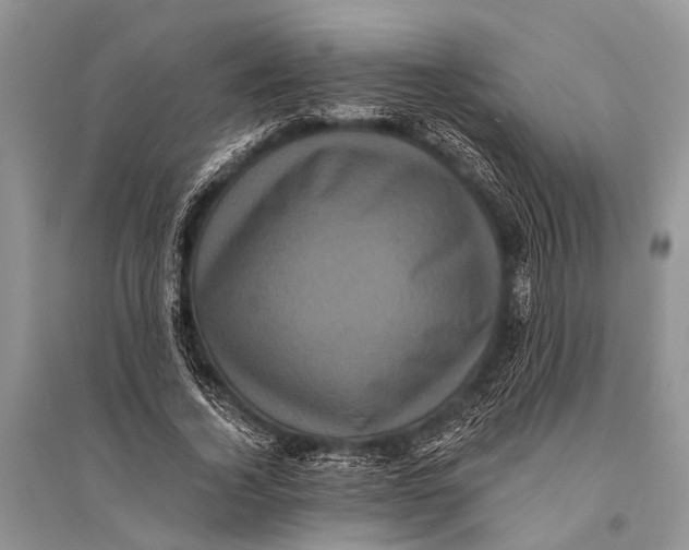 X0000094900732200712201134