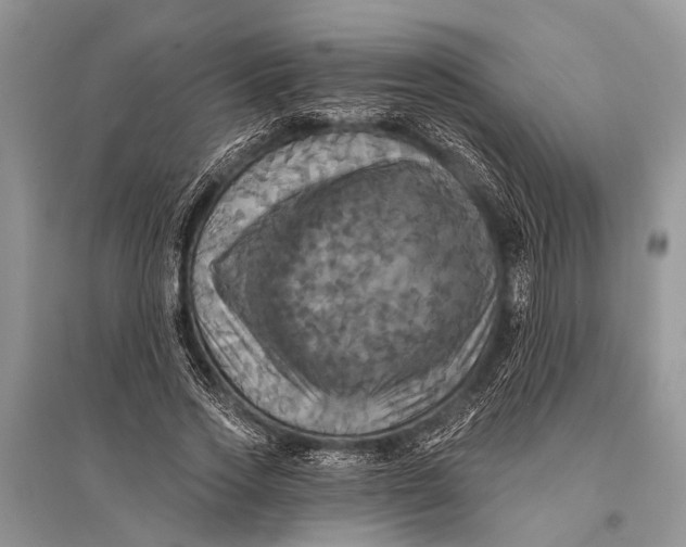 X0000094900733200712201134