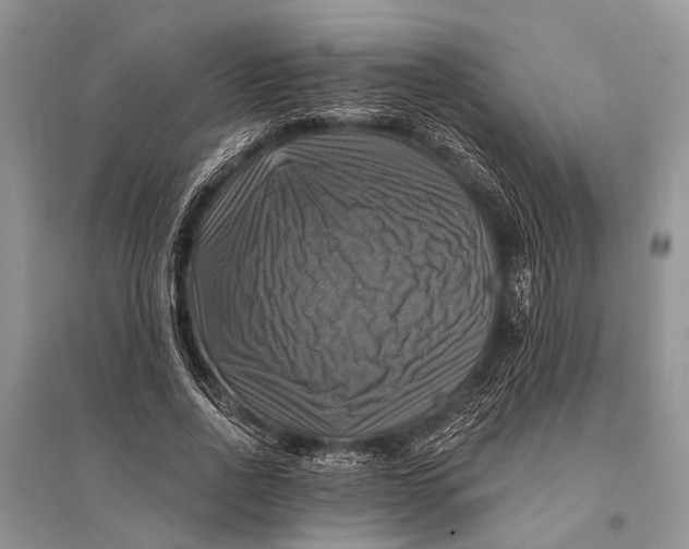 X0000094900734200712201134