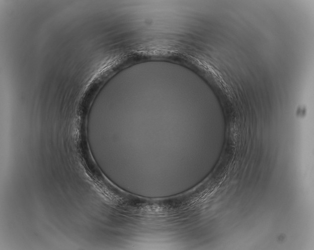 X0000094900735200712201134