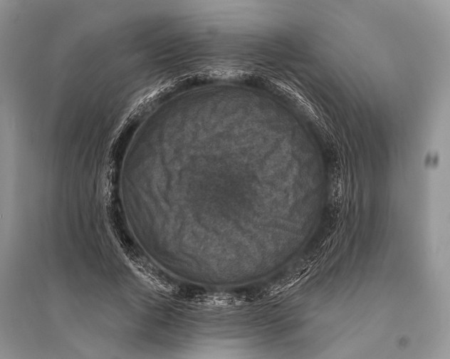 X0000094900736200712201134