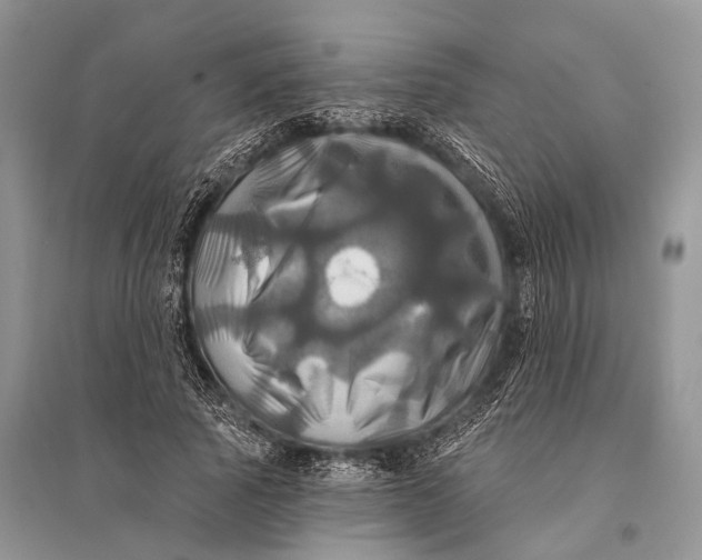 X0000094900737200712201134