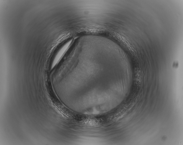 X0000094900738200712201134