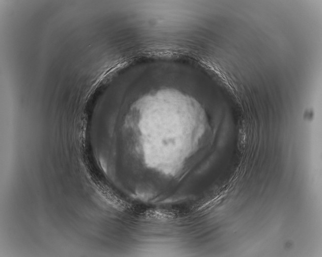 X0000094900739200712201134