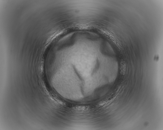 X0000094900740200712201134