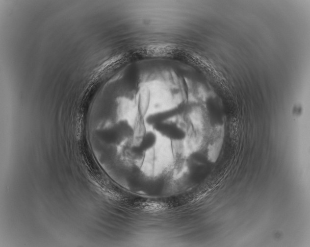 X0000094900741200712201134