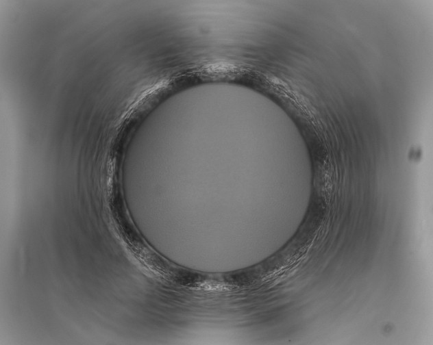 X0000094900742200712201134