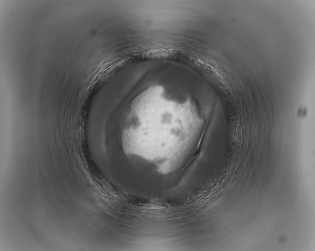 X0000094900743200712201134