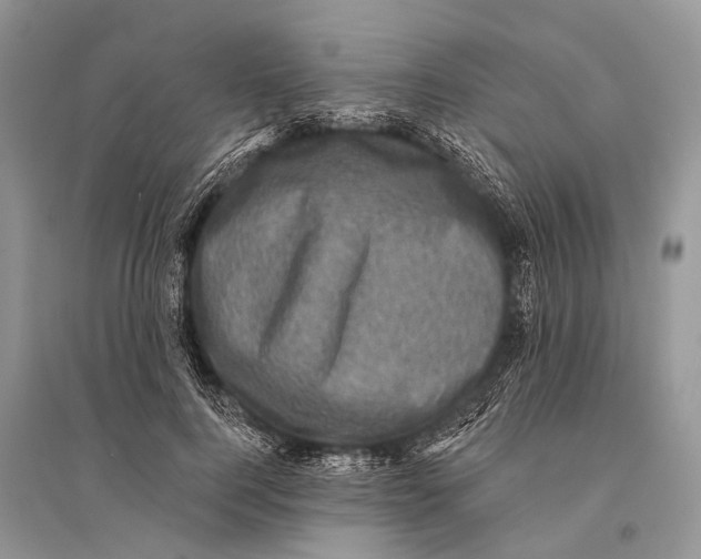 X0000094900744200712201134