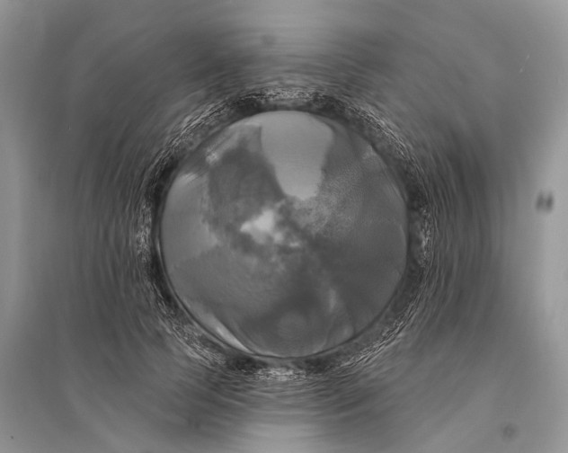 X0000094900745200712201134