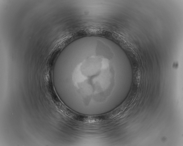 X0000094900746200712201134