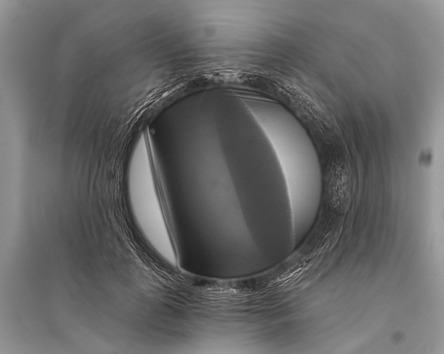 X0000094900747200712201134