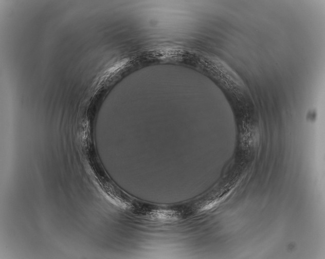 X0000094900748200712201134