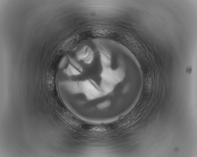 X0000094900749200712201134