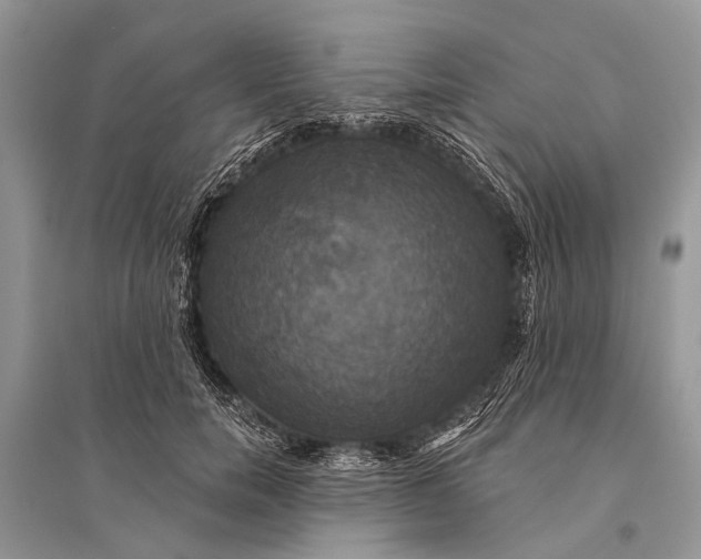 X0000094900750200712201134