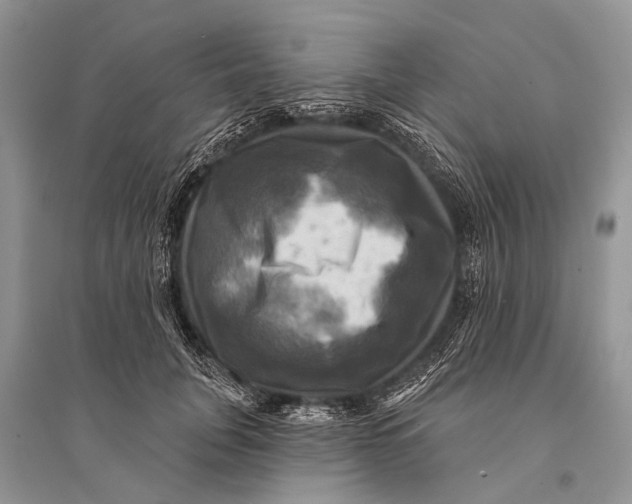 X0000094900751200712201134