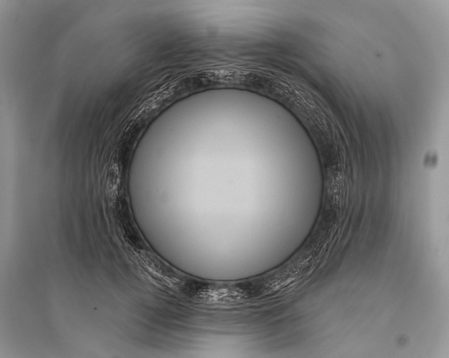 X0000094900752200712201134