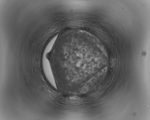 X0000094900753200712201134