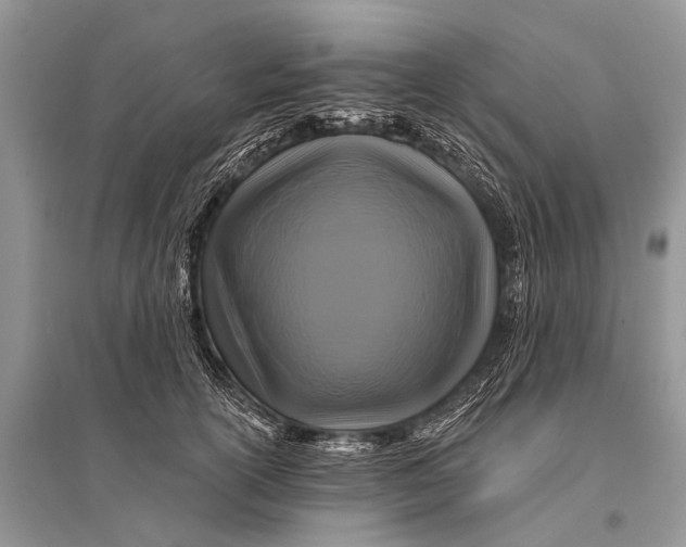 X0000094900754200712201134