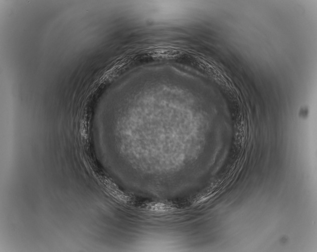 X0000094900755200712201134