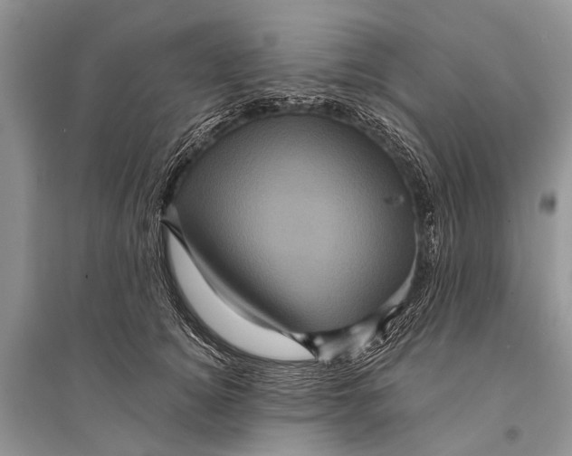 X0000094900756200712201134