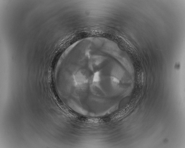 X0000094900757200712201134