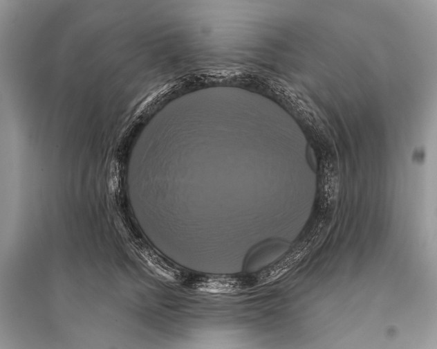 X0000094900758200712201134