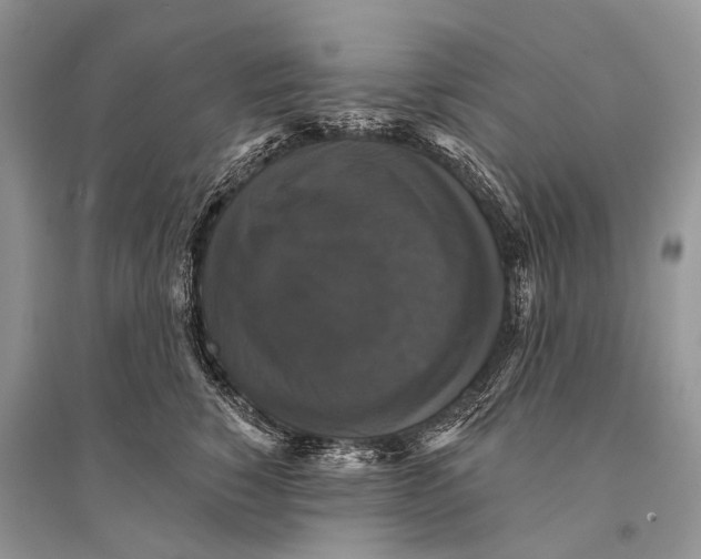 X0000094900760200712201134