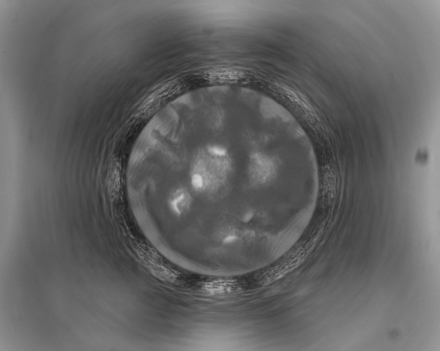 X0000094900761200712201134