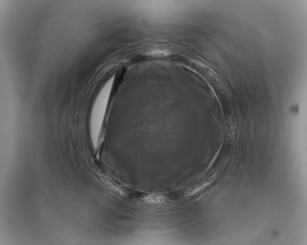 X0000094900762200712201134