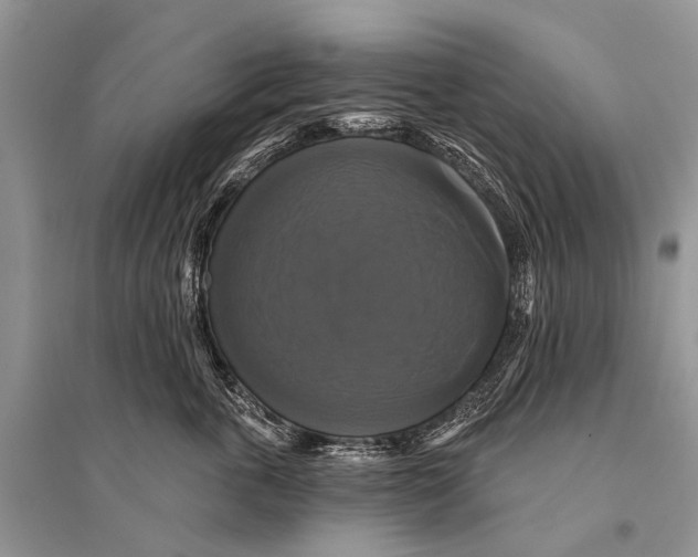 X0000094900763200712201134