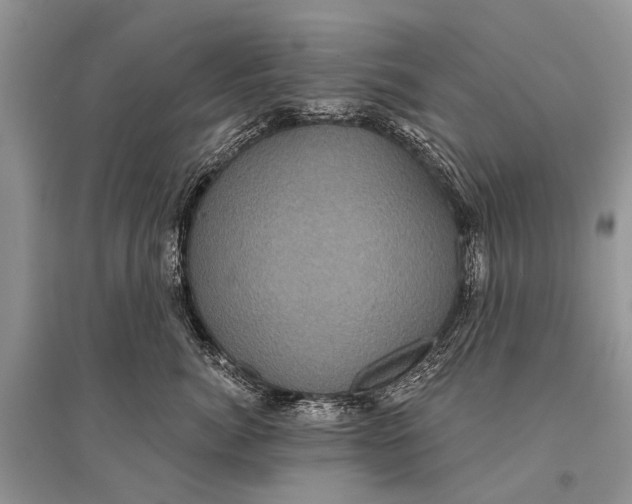 X0000094900764200712201134