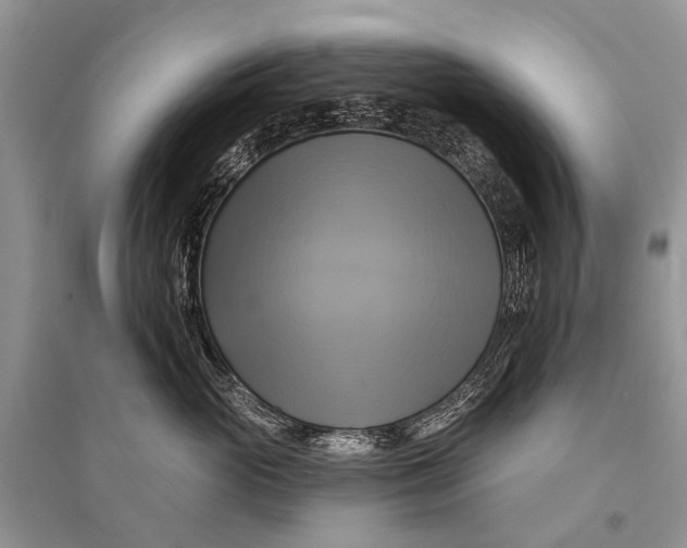 X0000094900765200712201134