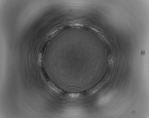 X0000094900767200712201134