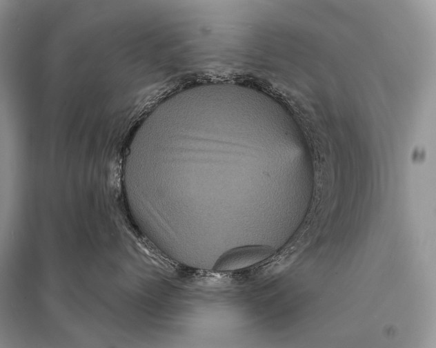 X0000094900768200712201134