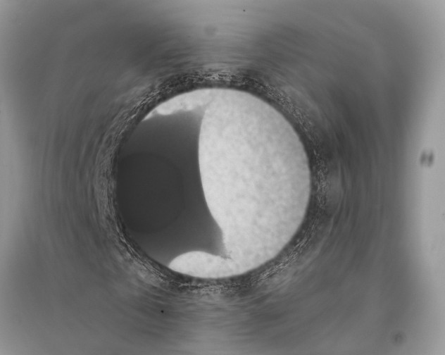 X0000094900769200712201134