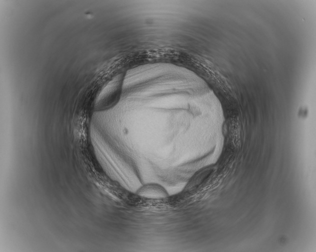 X0000094900770200712201134