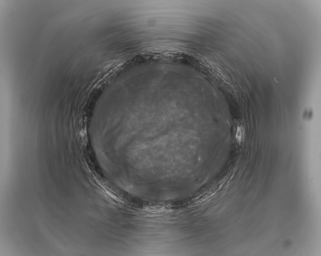 X0000094900771200712201134