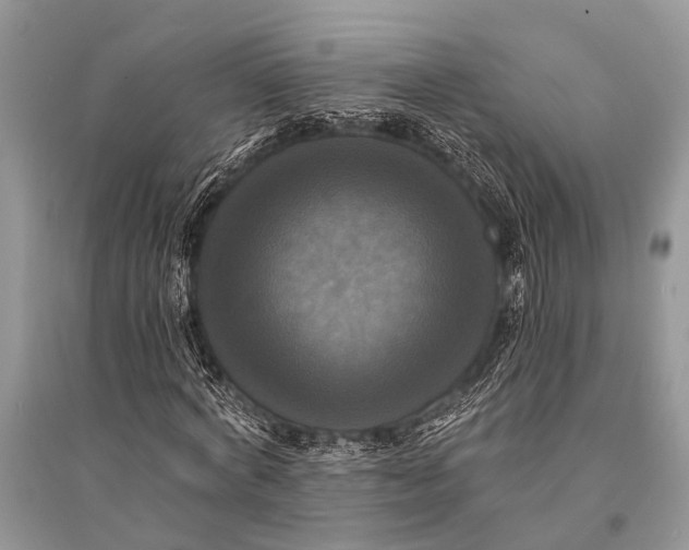 X0000094900772200712201134