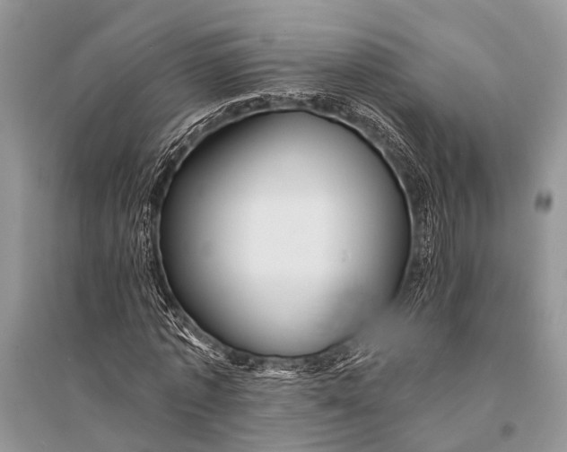 X0000094900773200712201134