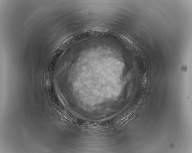 X0000094900774200712201134