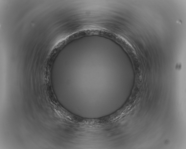 X0000094900775200712201134