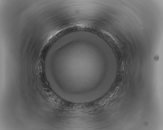 X0000094900776200712201134