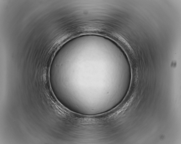 X0000094900777200712201133