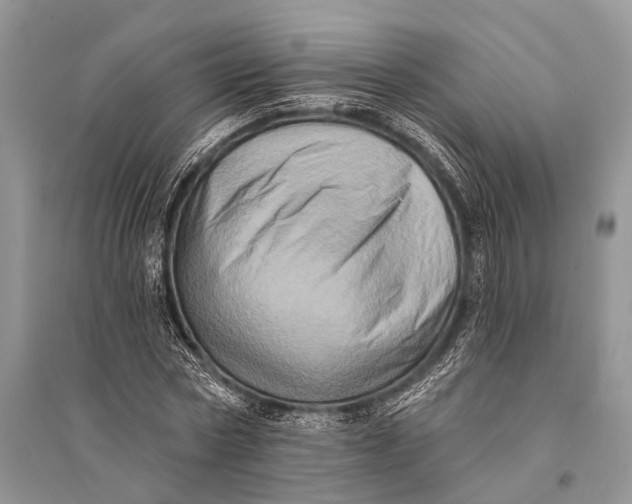 X0000094900778200712201133