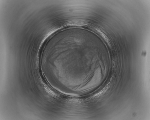 X0000094900779200712201133